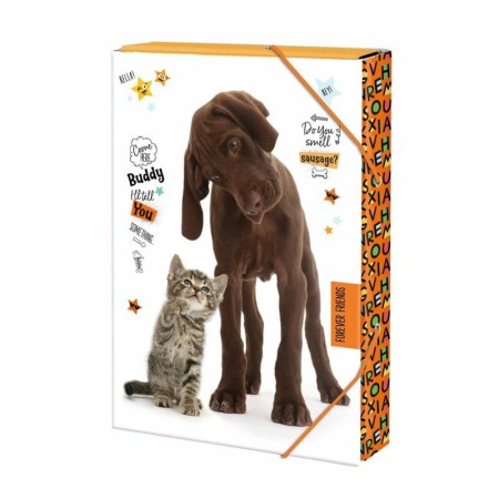 fa7811c700c8c6638735938521b90221