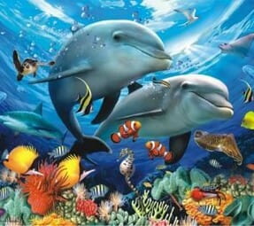 Przejdź do produktu Malowanie po numerach Delfiny, oceanarium  40 x 50