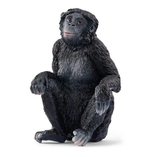 Przejdź do produktu SCHLEICH_FIG_WILD LIFE_SAMICA SZYMPANS KARŁOWATY