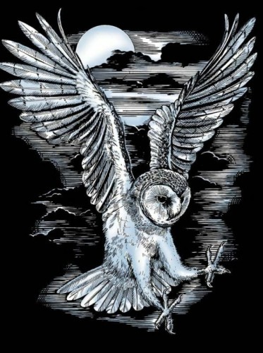 Przejdź do produktu Artfoil Silver Wydrapywanka srebrna Sowa 20,4x25,5