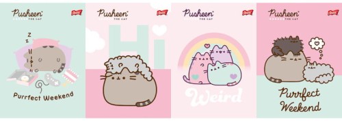 Przejdź do produktu Zeszyt A5 32k kratka laminowany PUSHEEN p15 mix ce