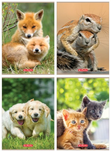 Przejdź do produktu Zeszyt A4 32k linia podwójna Animals dwukolorowa , Herlitz