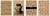 87c7d775bee2535a7b0c4cb126238bd2