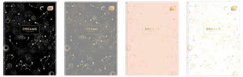 Przejdź do produktu Brulion A5 96k. kratka Metallic Dreams, Interdruk