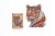 184dff40d2dda7c567eedc8334ff4101