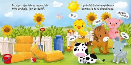 a9d96e49cc5a265fffd8ea6582a5064a