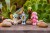 a46c188ff50907763af2b562ca184ea9