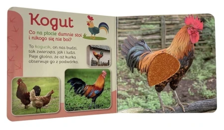 f3e3193aab3d98baff732256cf7a3b84