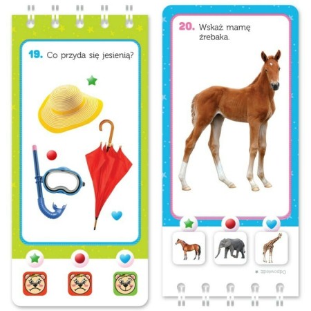 1ac34e9acd4ab150d0af58ef18f48003