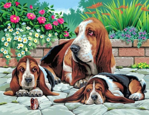 Przejdź do produktu Malowanie po numerach Psy rasy Basset 39x30cm 0044