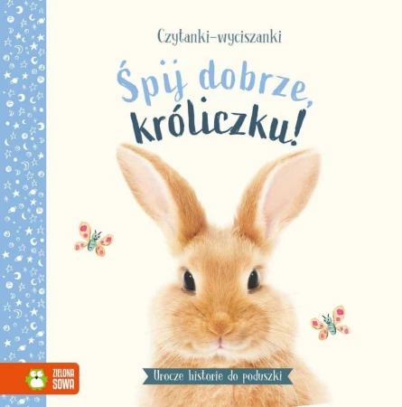 26e1366496e89fb2e89306187868e310