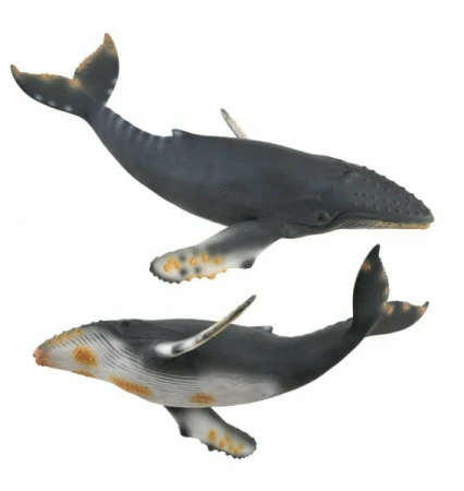 8fa68f5cb06e64f6c23d79b12f844ade