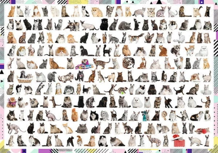 0b53fe3ef13de21a688a31a9ae070bc8