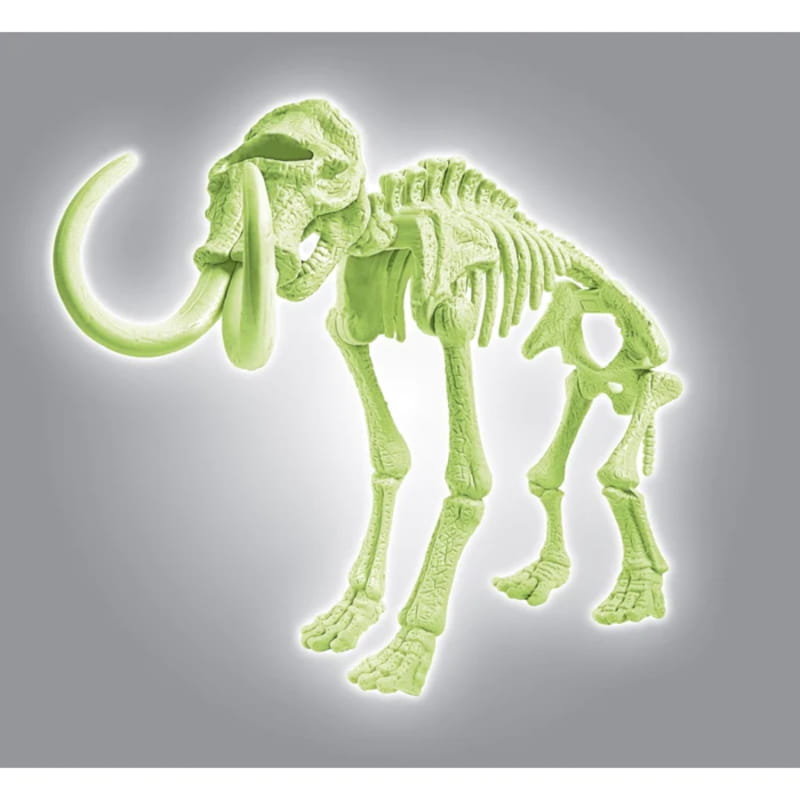 fe748aaa72c2cfec1a354d7985c06b87