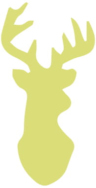 552f312f2e700bab0fa2dc094c274345