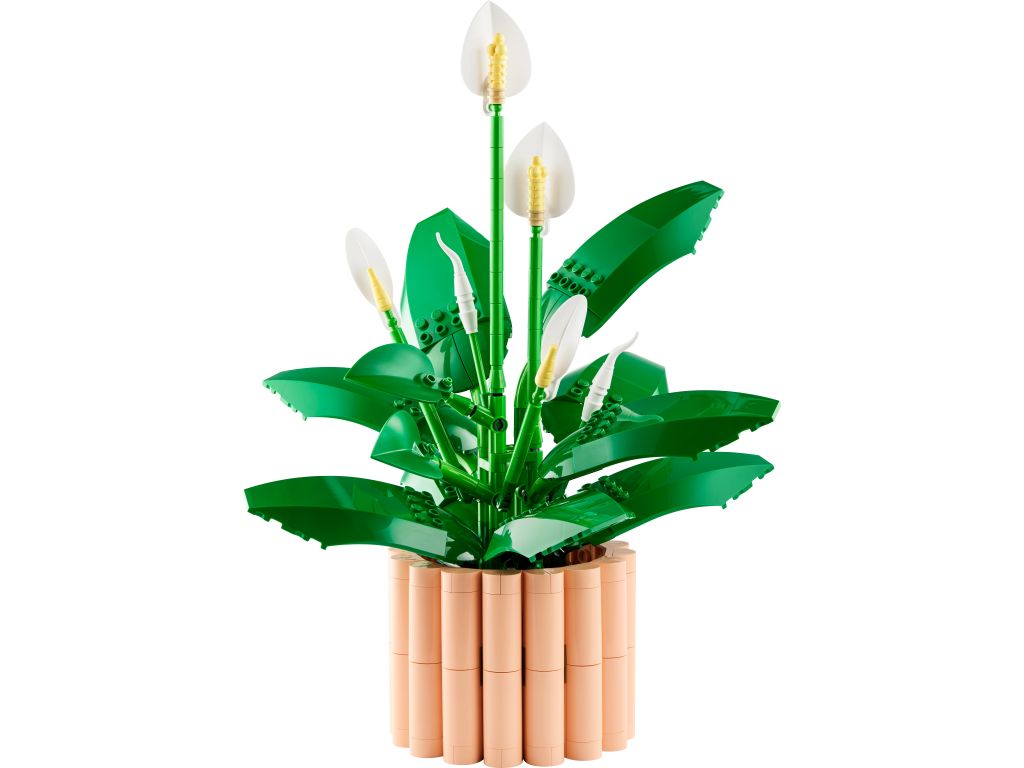 LEGO-11504-Botanicals-Skrzydlokwiat.jpg