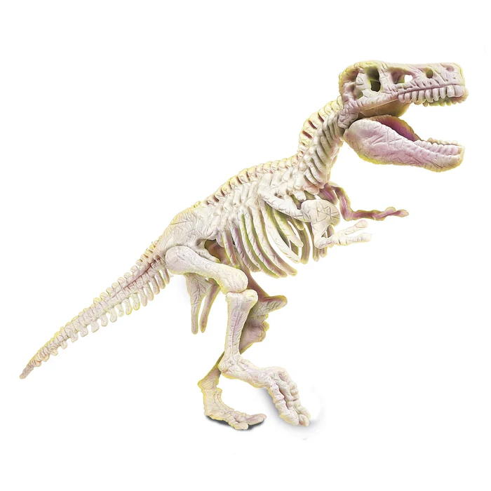 Clementoni Naukowa zabawa. Skamieniałości. T-Rex f 2.webp
