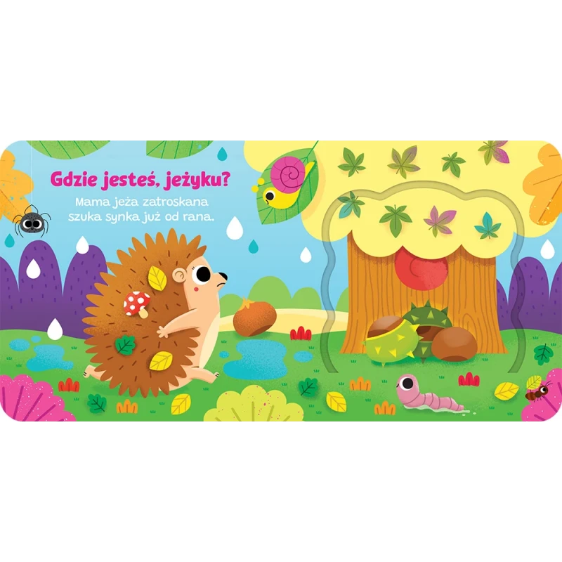 Otwórz okienko! Gdzie jeste, jeżyku 2.jpg
