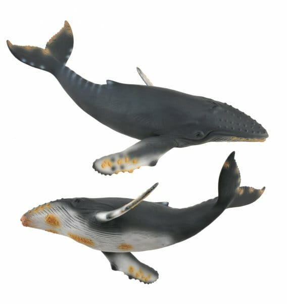 8fa68f5cb06e64f6c23d79b12f844ade